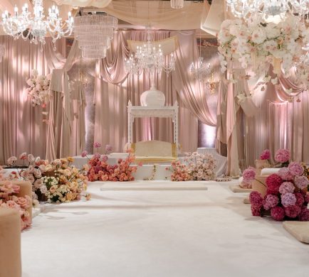 White Carpet setup at an Indian wedding