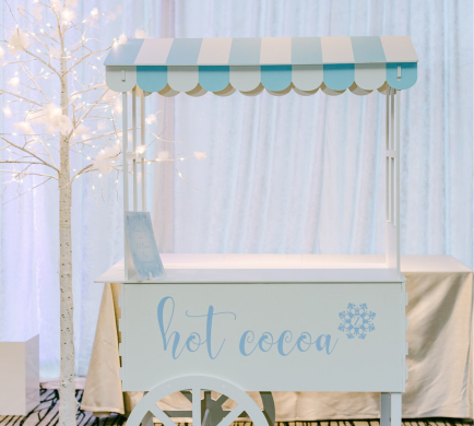 8ft Birch Tree set up at a Winter Wonderland birthday party